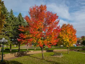 James Green Park