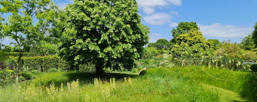 Marchants Hardy Plants