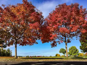 Bethel Community Park