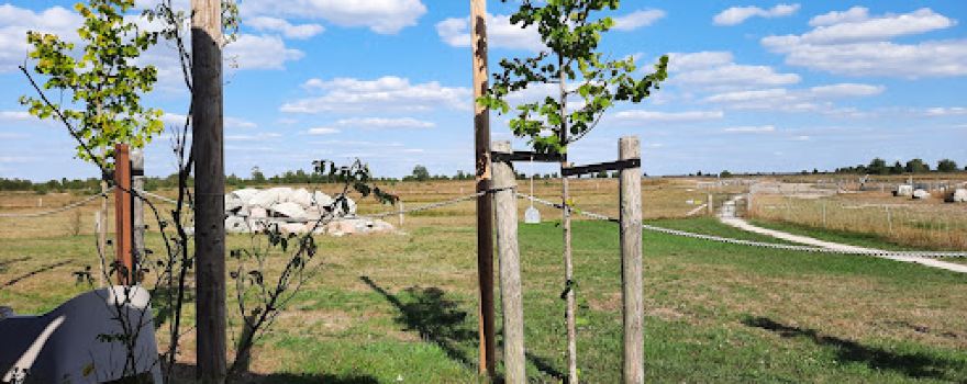 Schaapskooi Bargerveen