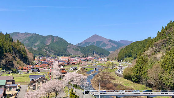 Shinjo Gaisen-Sakura