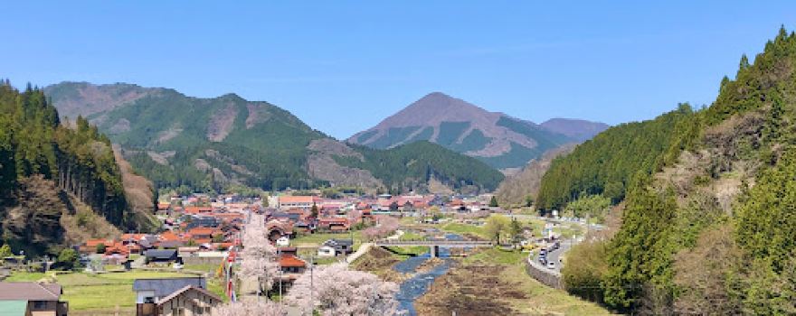 Shinjo Gaisen-Sakura