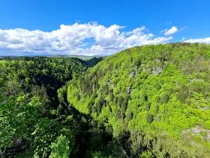 Přírodní rezervace Údolí Jizery u Semil a Bítouchova