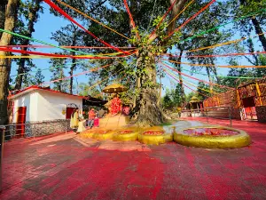 Pau Pathibhara Devi Temple