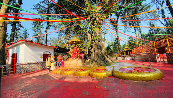 Pau Pathibhara Devi Temple