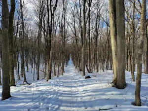 Парк Маршалково