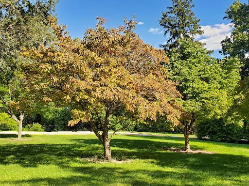 Blanchette Park