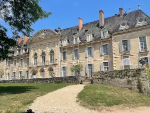 Castle de la Ferte Ian