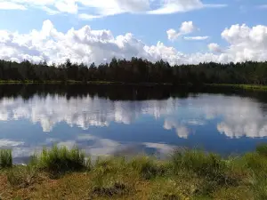 Aegviidu Seiklusrada
