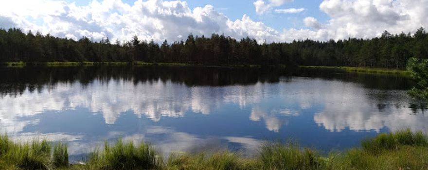 Aegviidu Seiklusrada