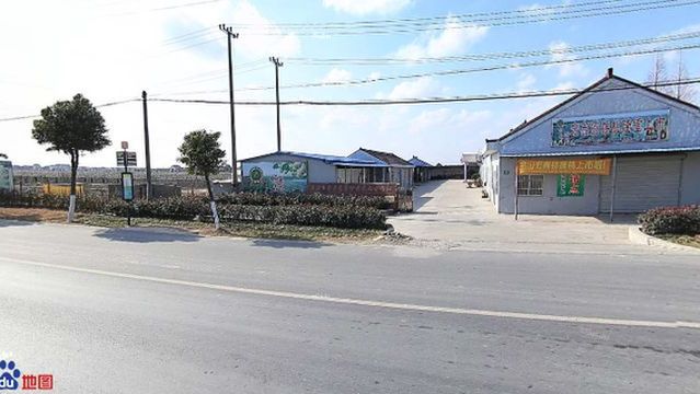 shang hai shi zhe yue pu tao zhong zhi zhuan ye he zuo she