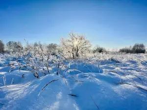 Park Zielona w Dąbrowie Górniczej