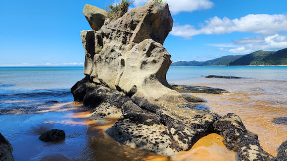 Totaranui Campground