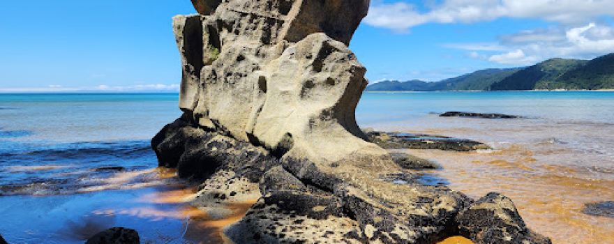 Totaranui Campground