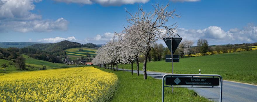Rühler Schweiz