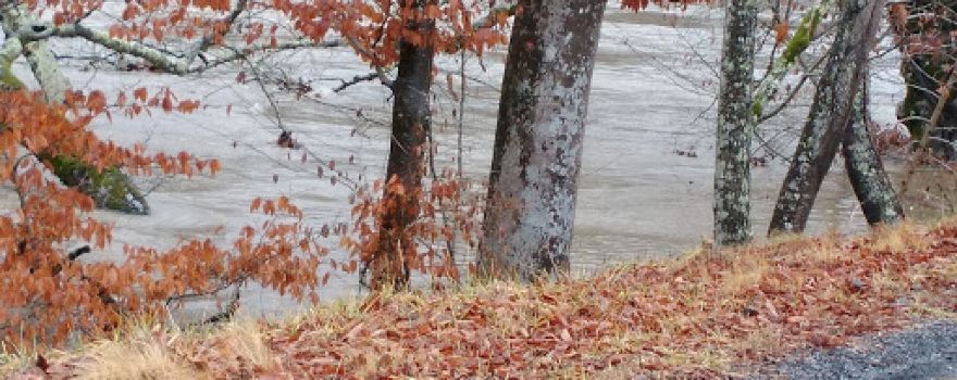 Dryden Fishing Hole & Boat Ramp