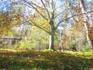 Edi Rest Area and Free Camping site