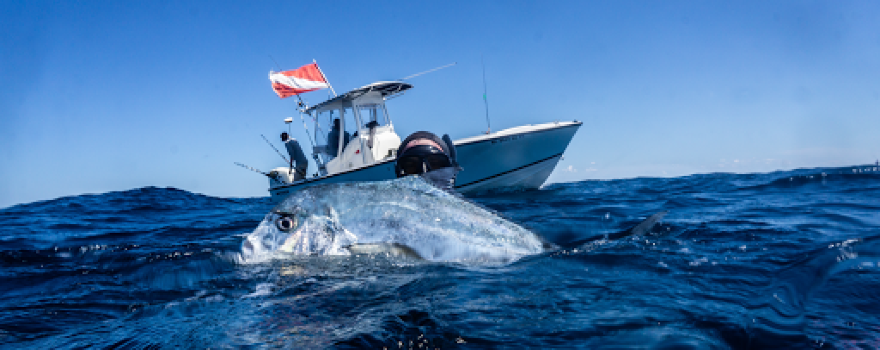 Topsail Island Fish & Dive Adventures