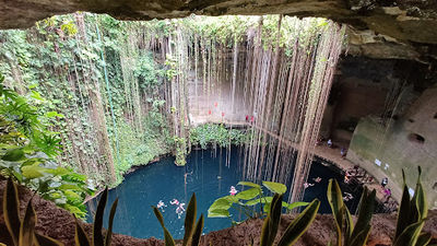 Cenote Xtoloc