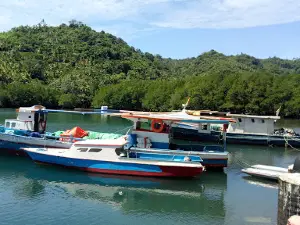 Biaro Island