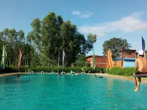 DS THE ROYAL SWIMMING ACADEMY