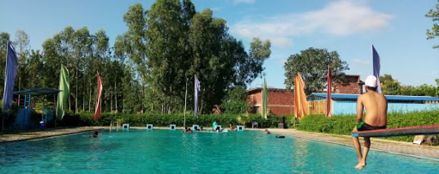 DS THE ROYAL SWIMMING ACADEMY