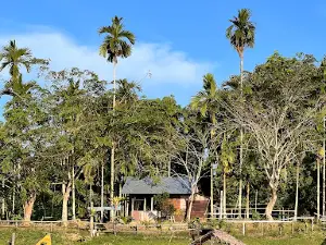 Sungai Gelombang