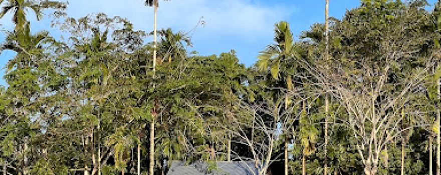 Sungai Gelombang