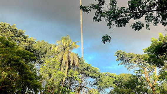 Wonderland Amusement Park