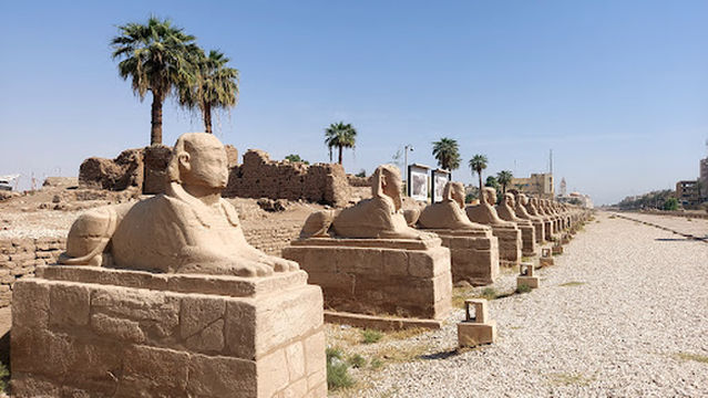 Alley of the Sphinxes