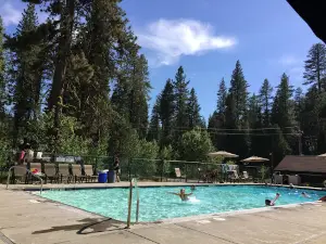 Lair of the Golden Bear - Camp Gold