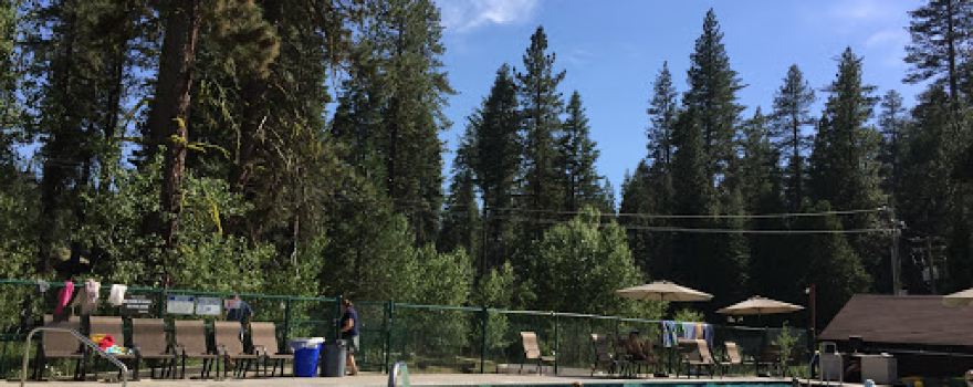 Lair of the Golden Bear - Camp Gold