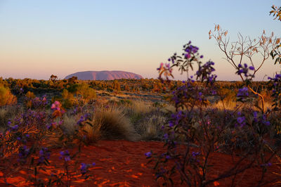 Imalung Lookout