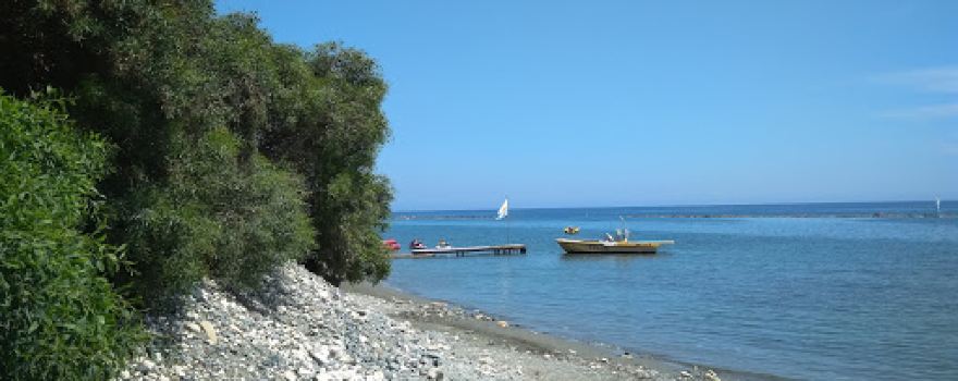 Limassol Olympic Swimming Pool