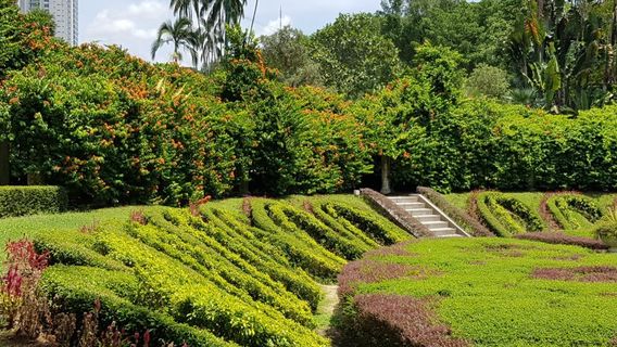 Пердана ботанический сад