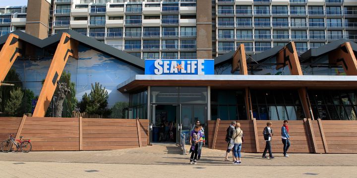Sea Life Scheveningen