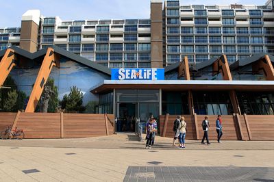 Sea Life Scheveningen
