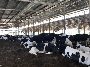 kurlender farm
