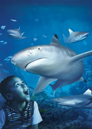 Sea Life Blankenberge