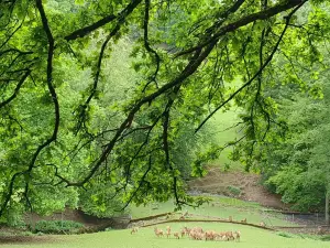 Wildpark Roggenhausen