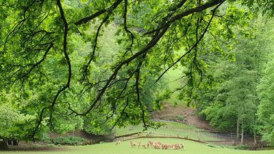 Wildpark Roggenhausen