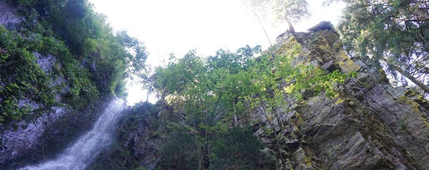 Burgbach Wasserfall