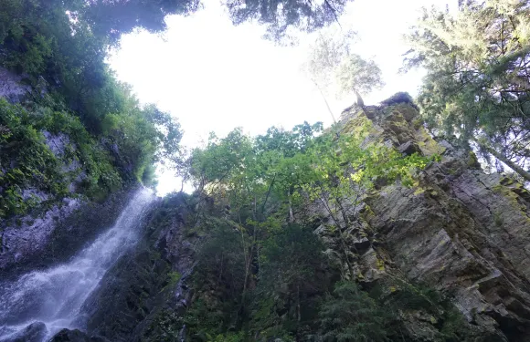 巴特里波爾曹-沙普巴赫