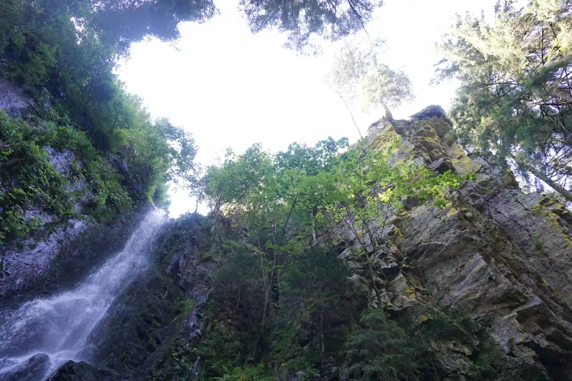 Hotels in der Nähe von Burgbachwasserfall