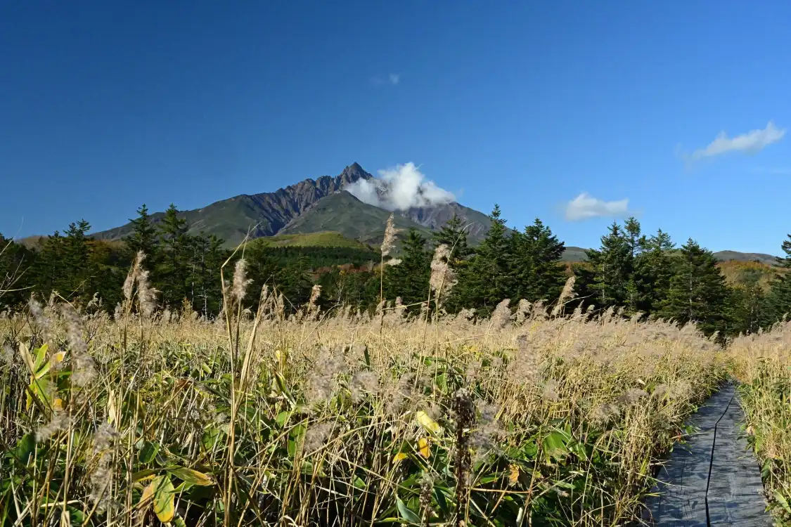 Hotels near Minamihama Wetland