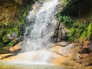 Chorros de Milla Zoo