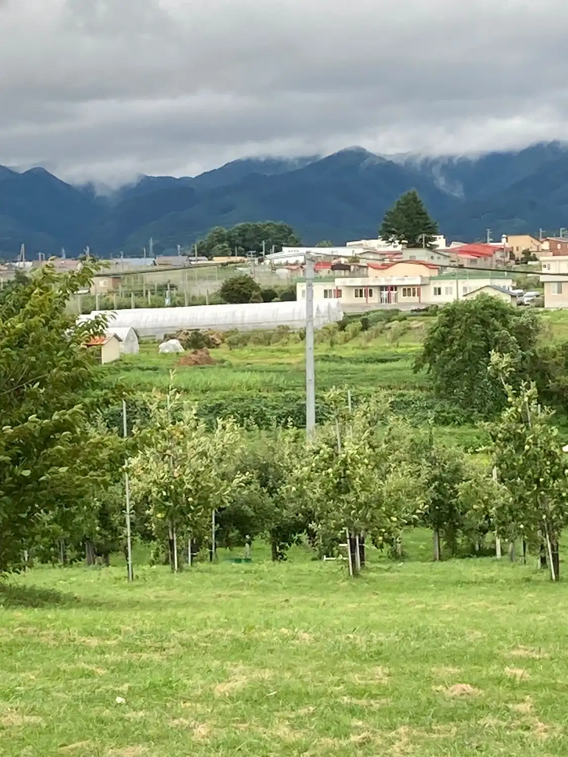 Các khách sạn gần Hirosaki Apple Park