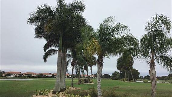 Twin Isles Country Club