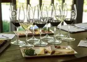 Alexander Valley Vineyards