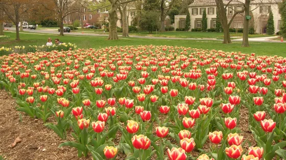 Sherwood Gardens